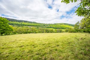 Grounds- click for photo gallery